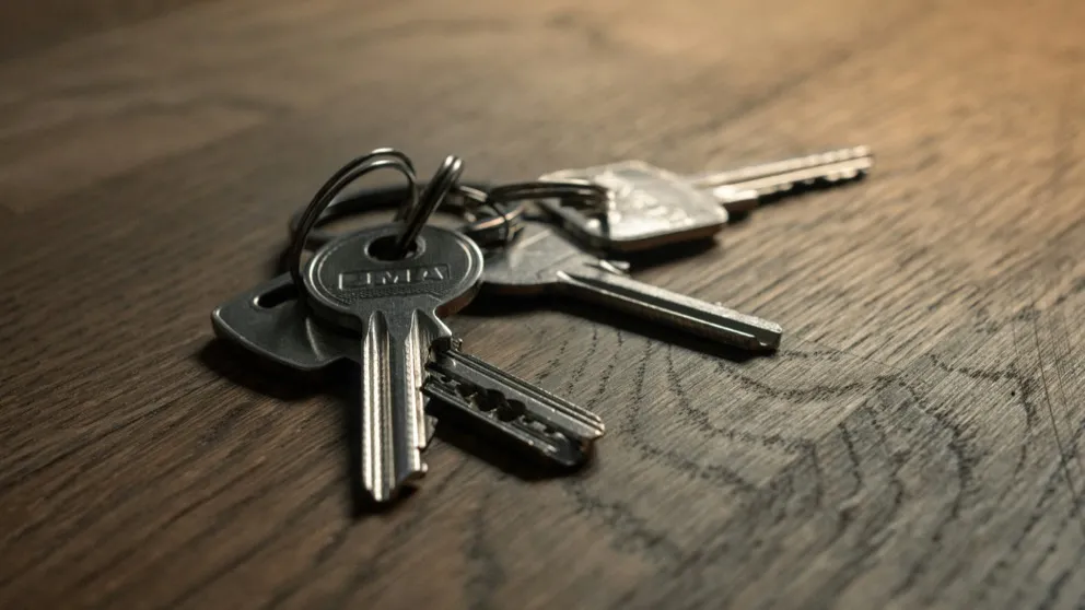 React Query list and detail keys.